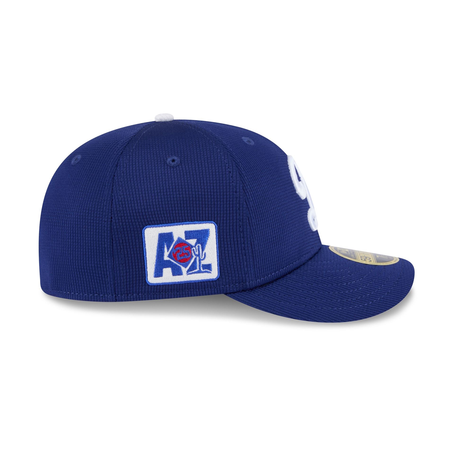 New Era 2025 Spring Training Low Profile 59FIFTY Fitted