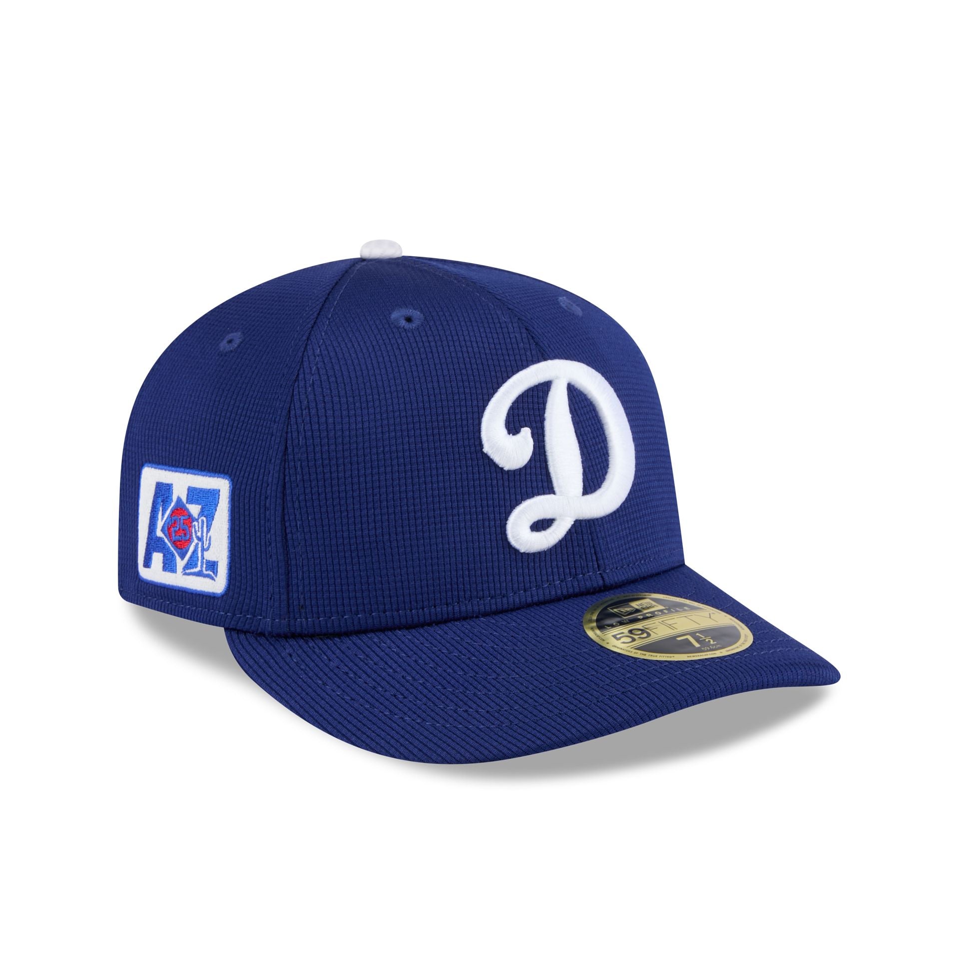 new era 2025 Spring Training Low Profile 59FIFTY Fitted