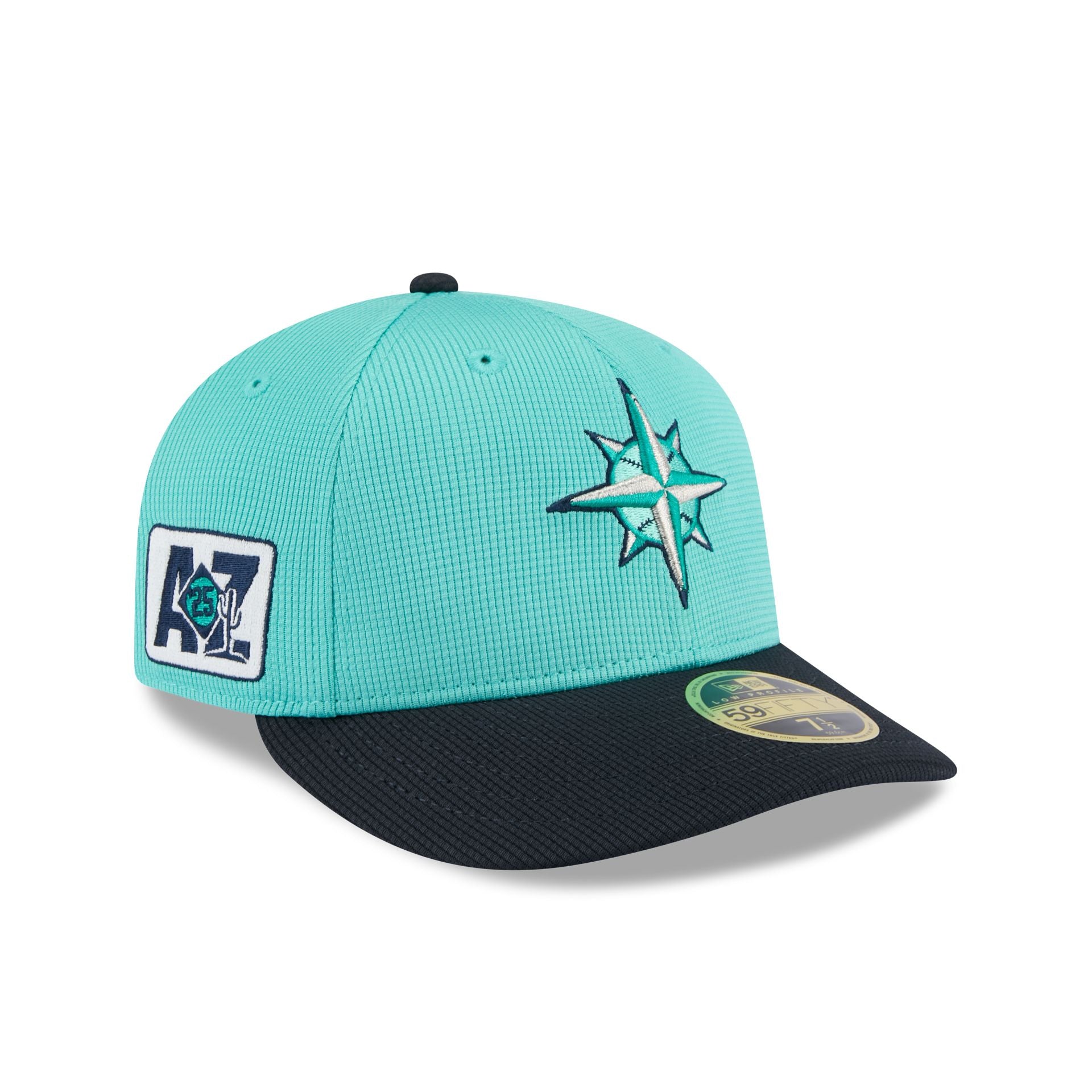 new era 2025 Spring Training Low Profile 59FIFTY Fitted