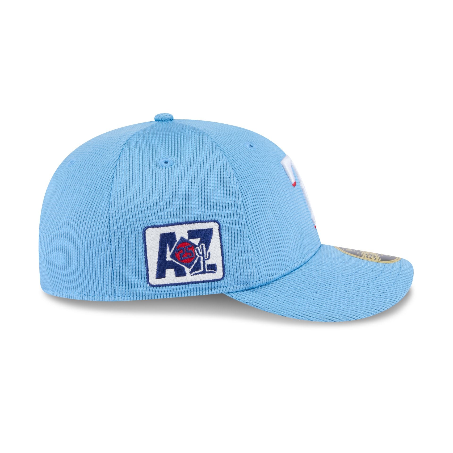 New Era 2025 Spring Training Low Profile 59FIFTY Fitted