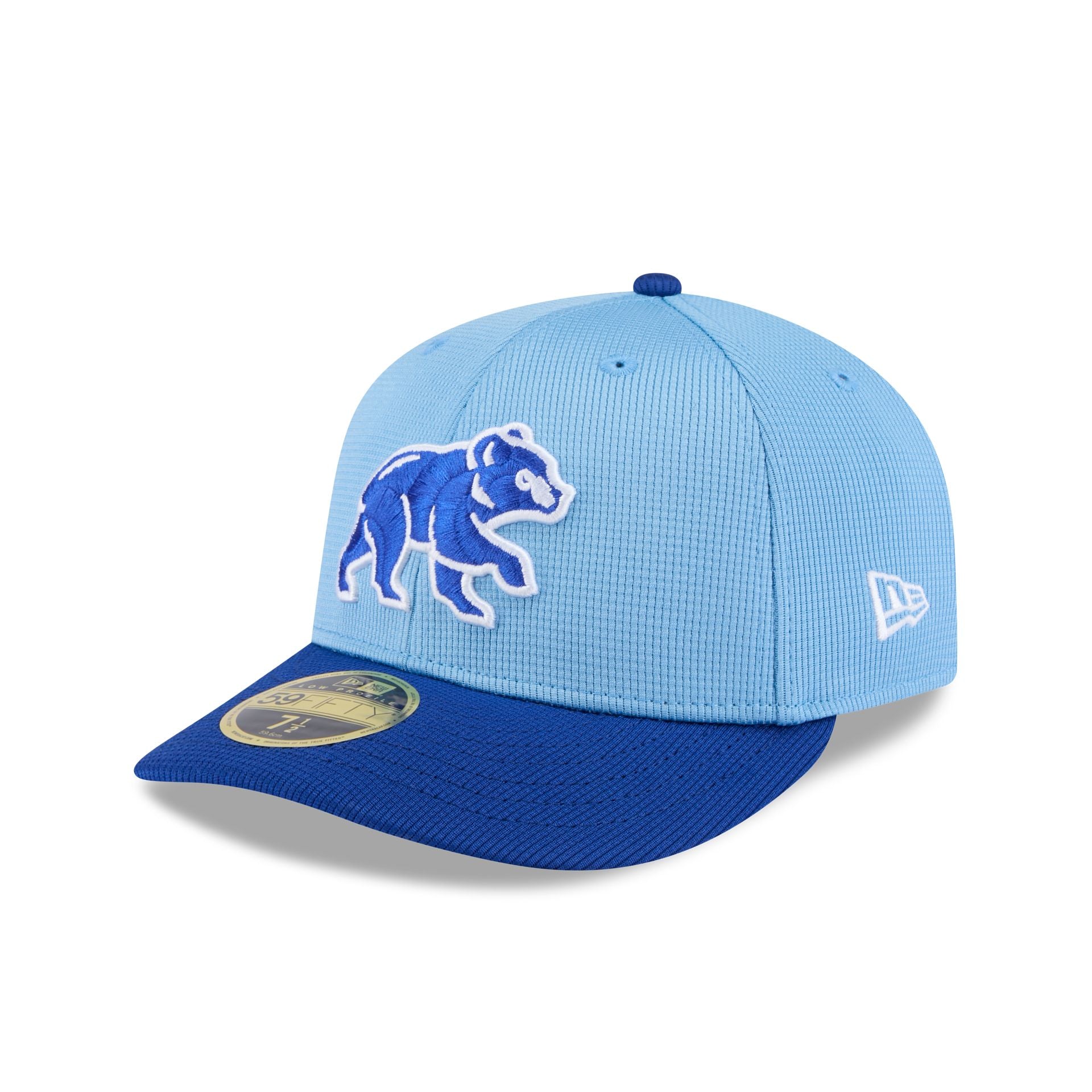 New Era 2025 Spring Training Low Profile 59FIFTY Fitted