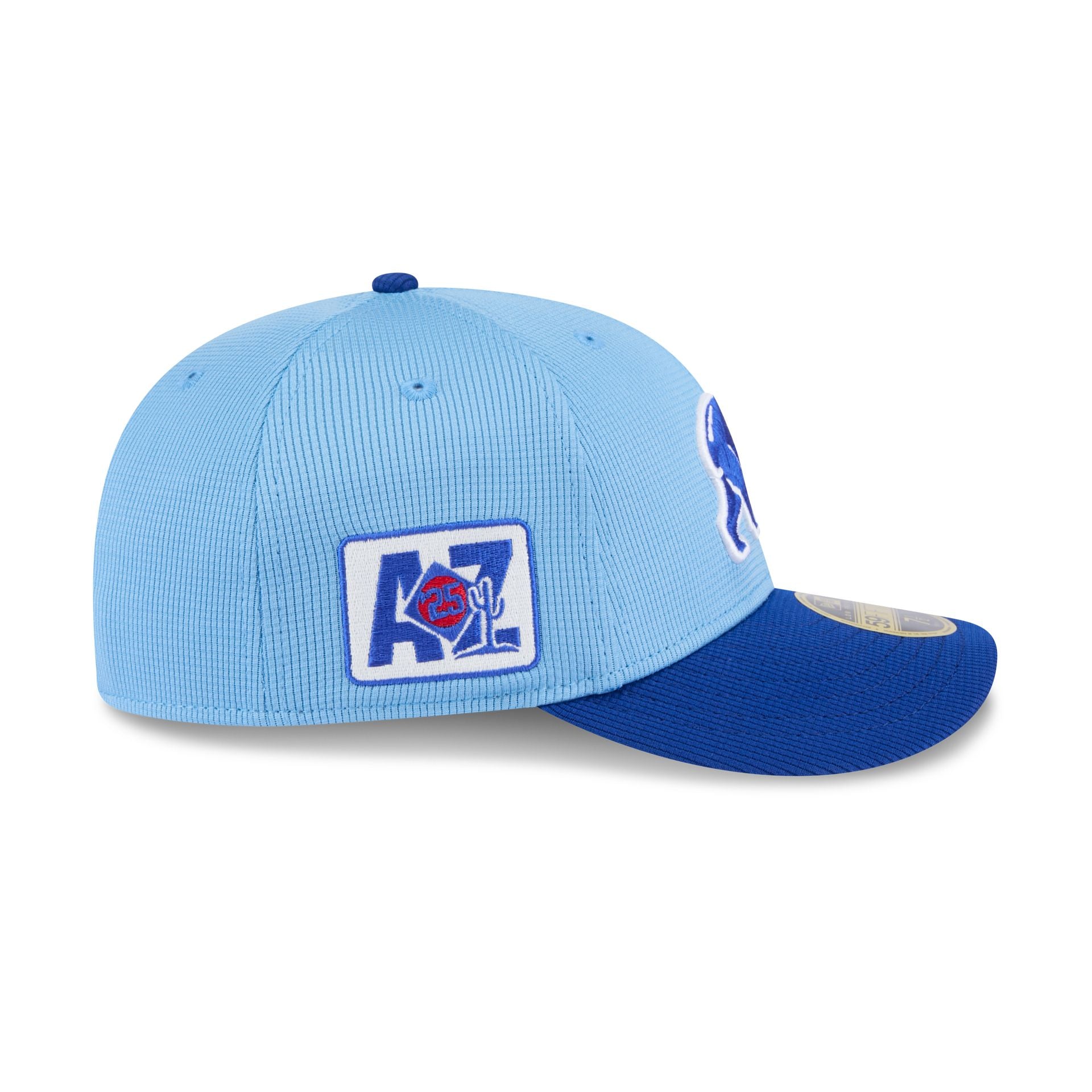 New Era 2025 Spring Training Low Profile 59FIFTY Fitted