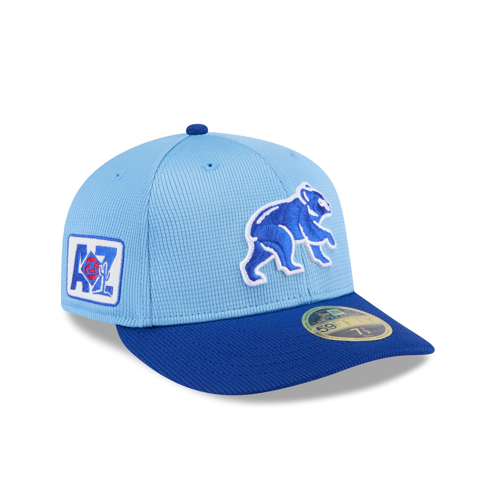new era 2025 Spring Training Low Profile 59FIFTY Fitted