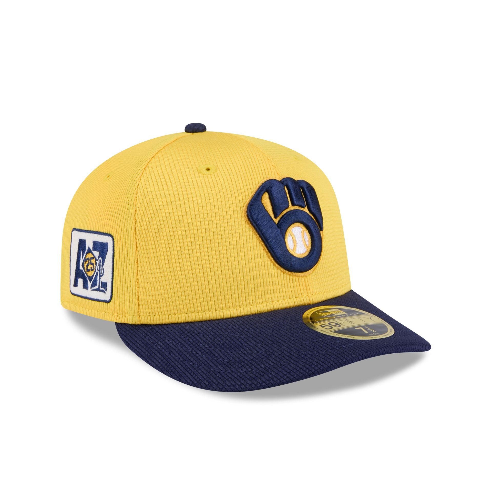 new era 2025 Spring Training Low Profile 59FIFTY Fitted