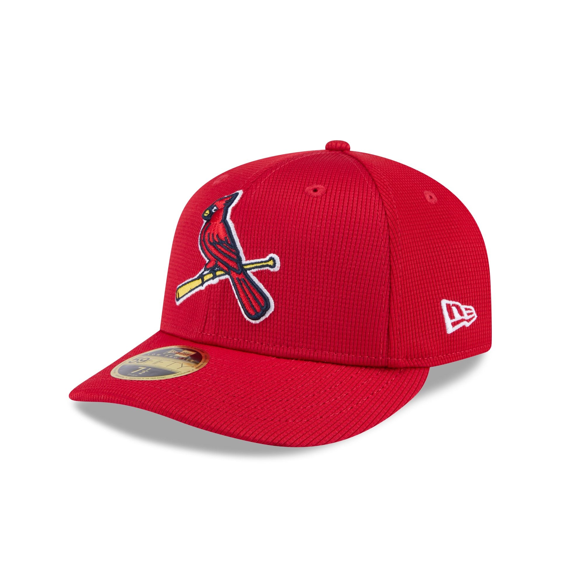 New Era 2025 Spring Training Low Profile 59FIFTY Fitted