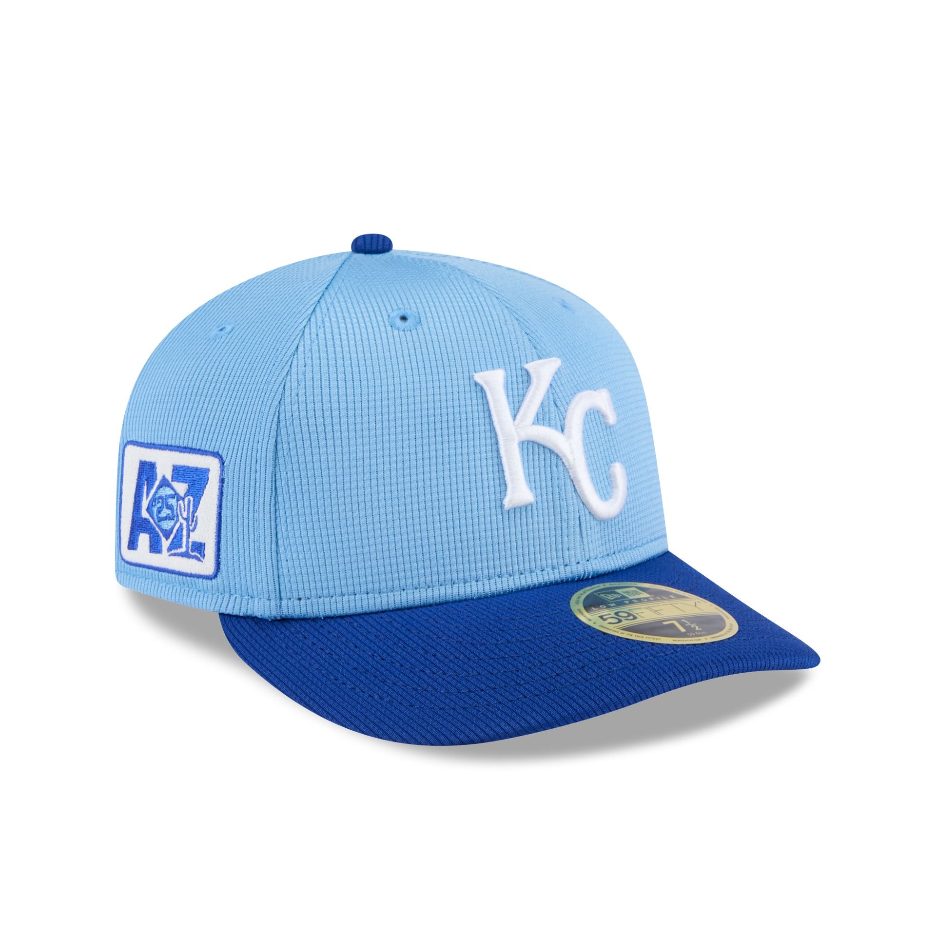 new era 2025 Spring Training Low Profile 59FIFTY Fitted