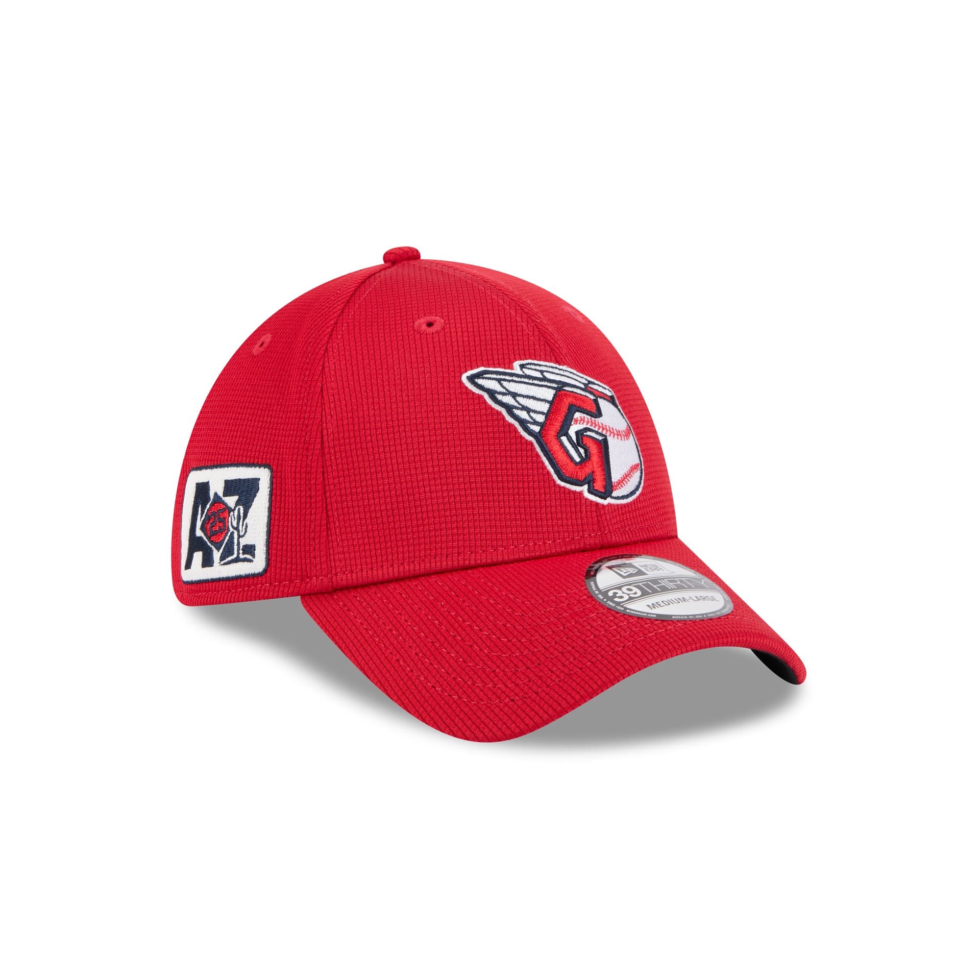 new era 2025 Spring Training 39THIRTY Stretch Fit