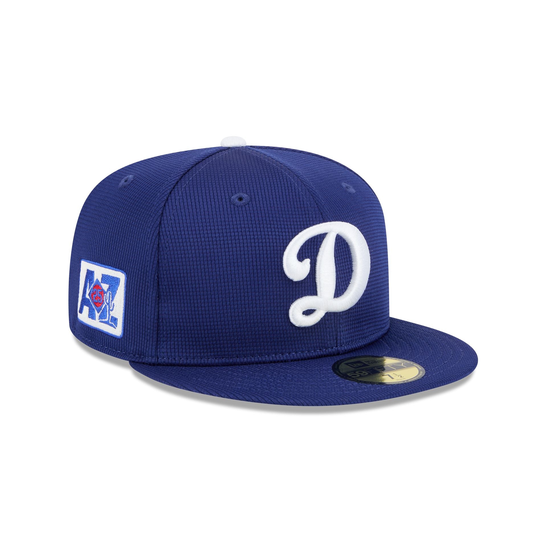 new era 2025 Spring Training 59FIFTY Fitted