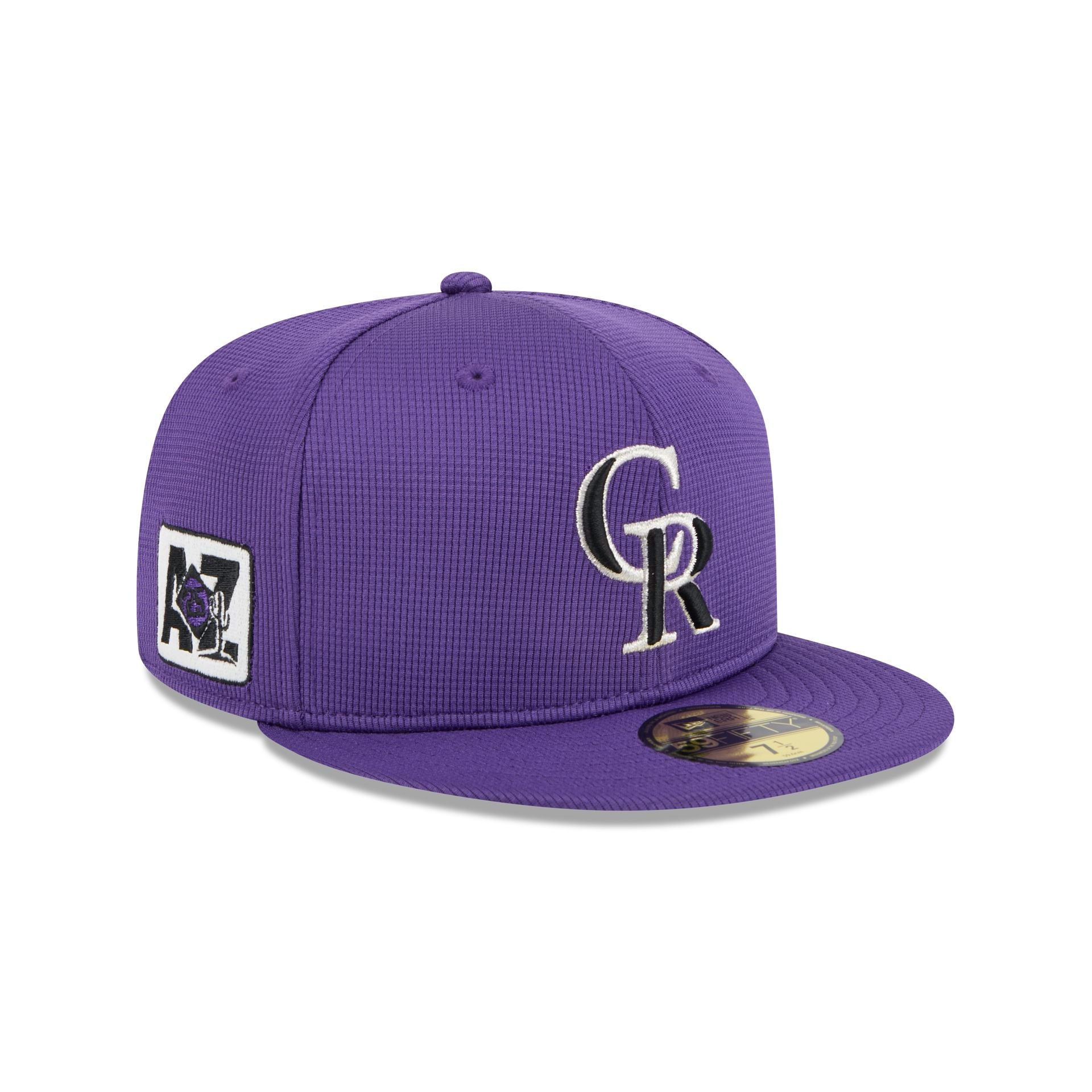 new era 2025 Spring Training 59FIFTY Fitted