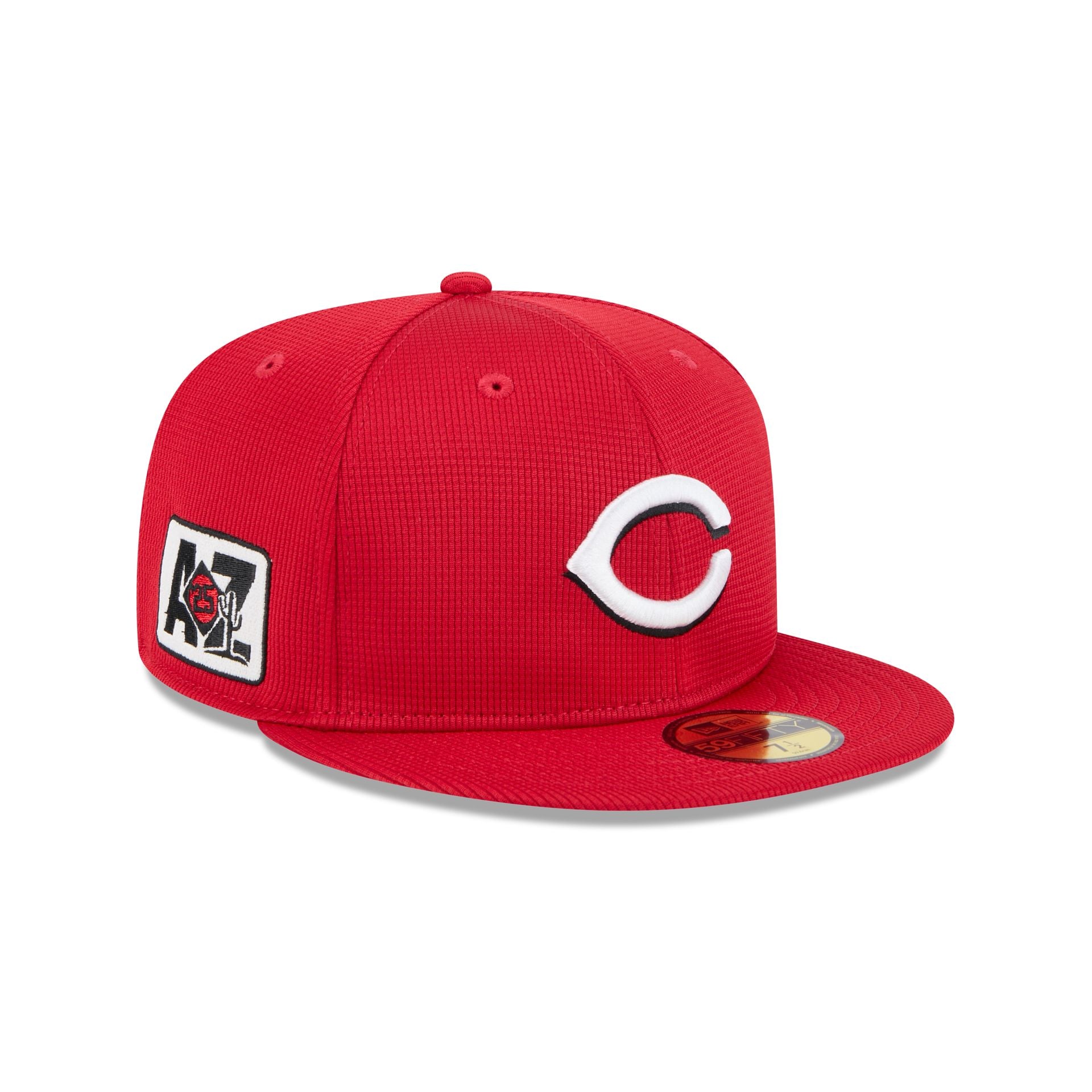new era 2025 Spring Training 59FIFTY Fitted